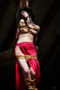 DSC_6230