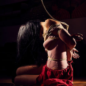 Beautiful woman tied up in traditional Japanese Bondage